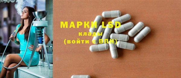 ГАЛЛЮЦИНОГЕННЫЕ ГРИБЫ Горняк