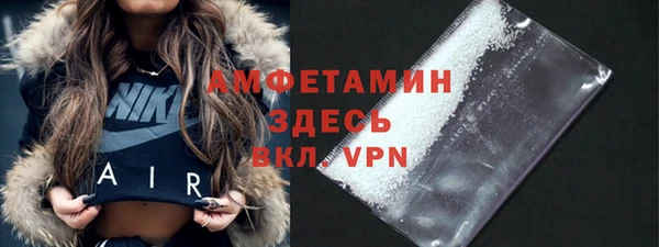 ГАЛЛЮЦИНОГЕННЫЕ ГРИБЫ Горняк