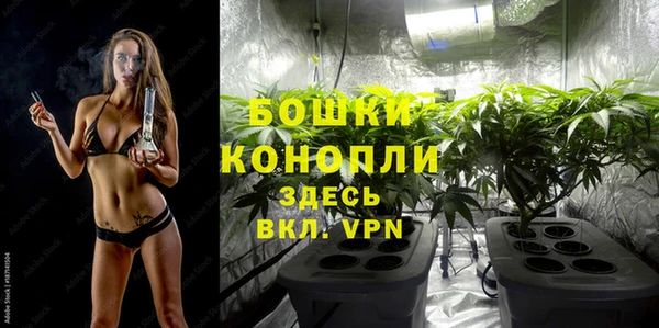 амф Вяземский