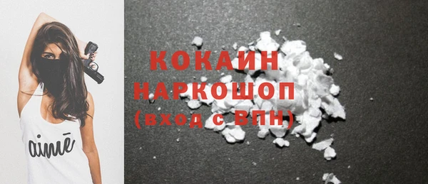 ГАЛЛЮЦИНОГЕННЫЕ ГРИБЫ Горняк